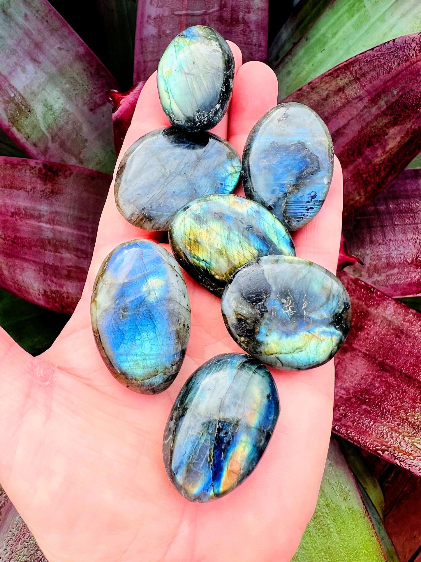 polished labradorite crystal stones on hand