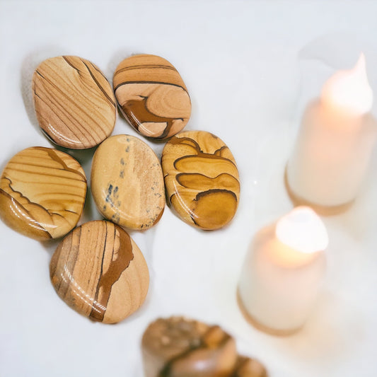 Picture Jasper Palm Stones.