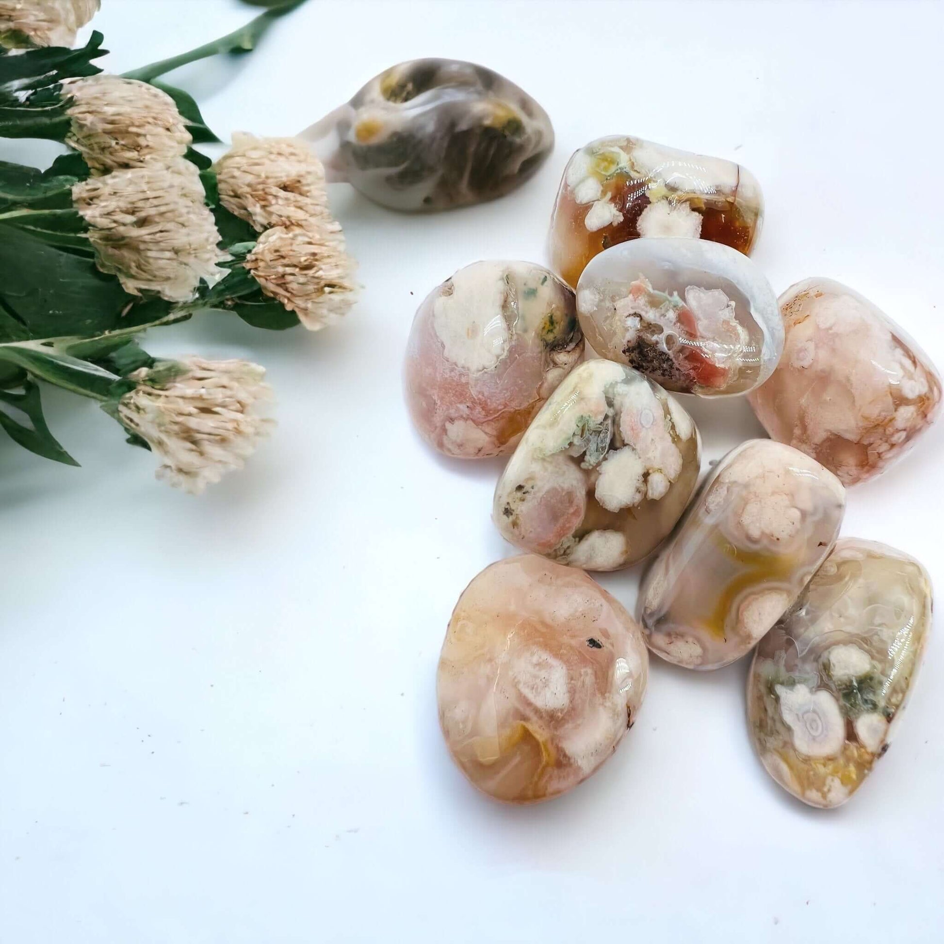 Several flower agate stones on white surface. 