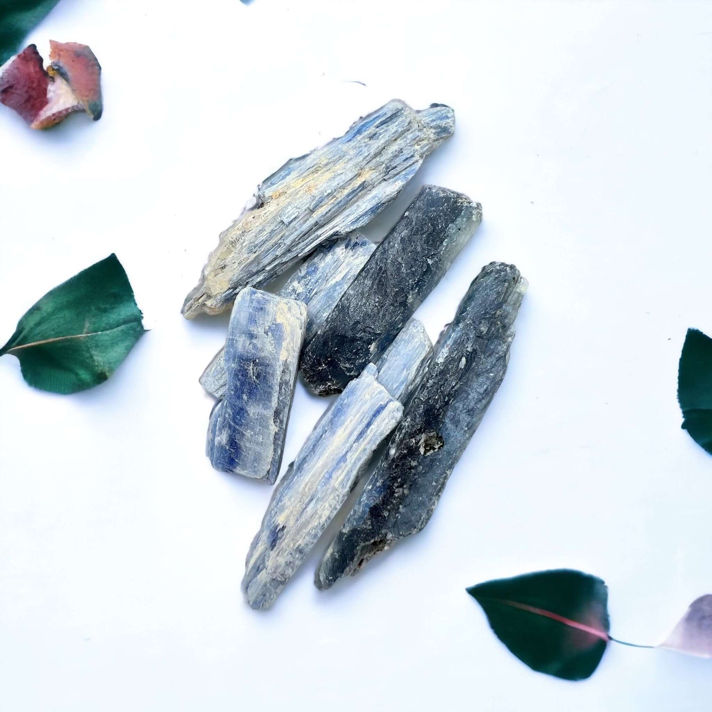 Black Kyanite & Blue Kyanite