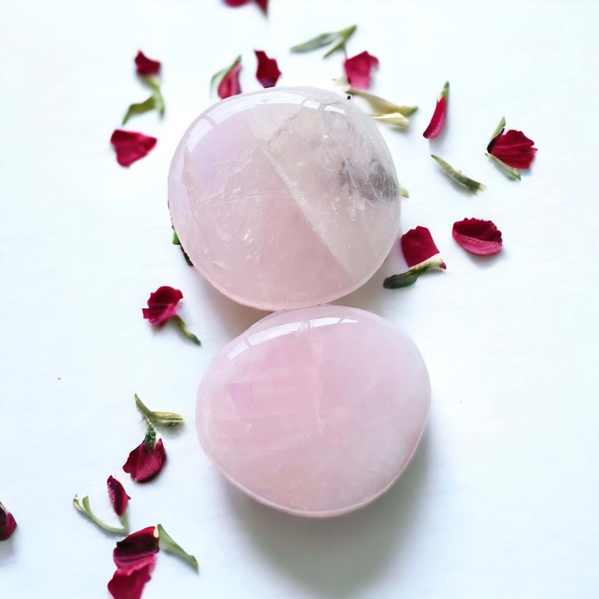 Rose quartz crystal pop sockets on white surface with scattered petals.