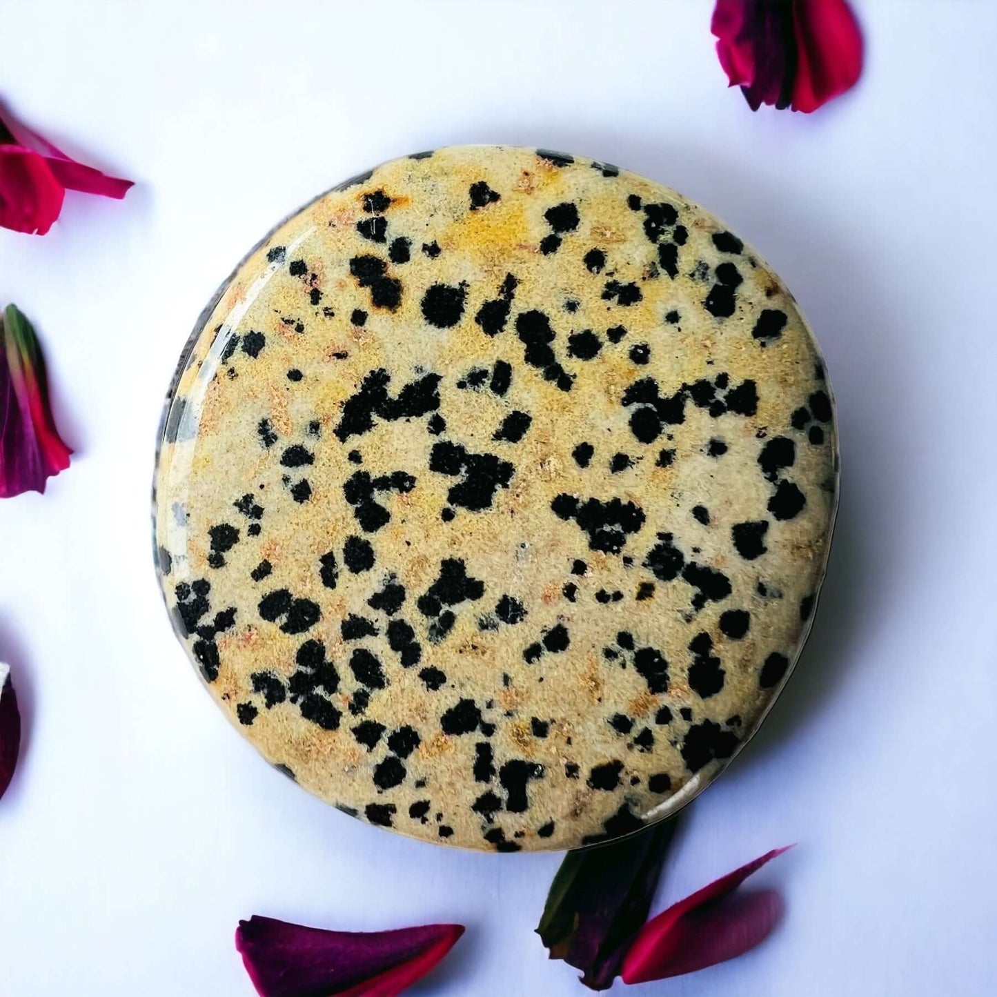 Dalmation Jasper crystal pop sockets on white surface with scattered petals.