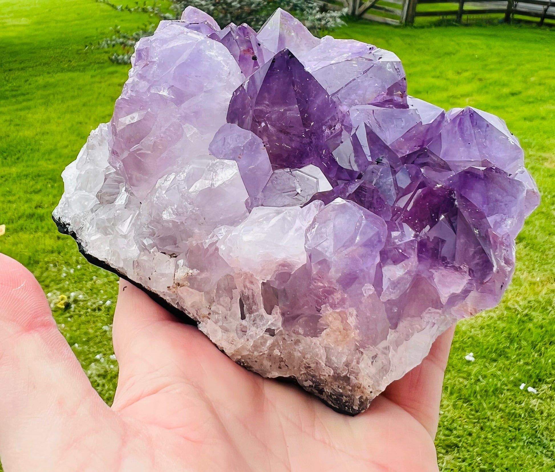 Large Amethyst cluster in a hand with grass in background. 