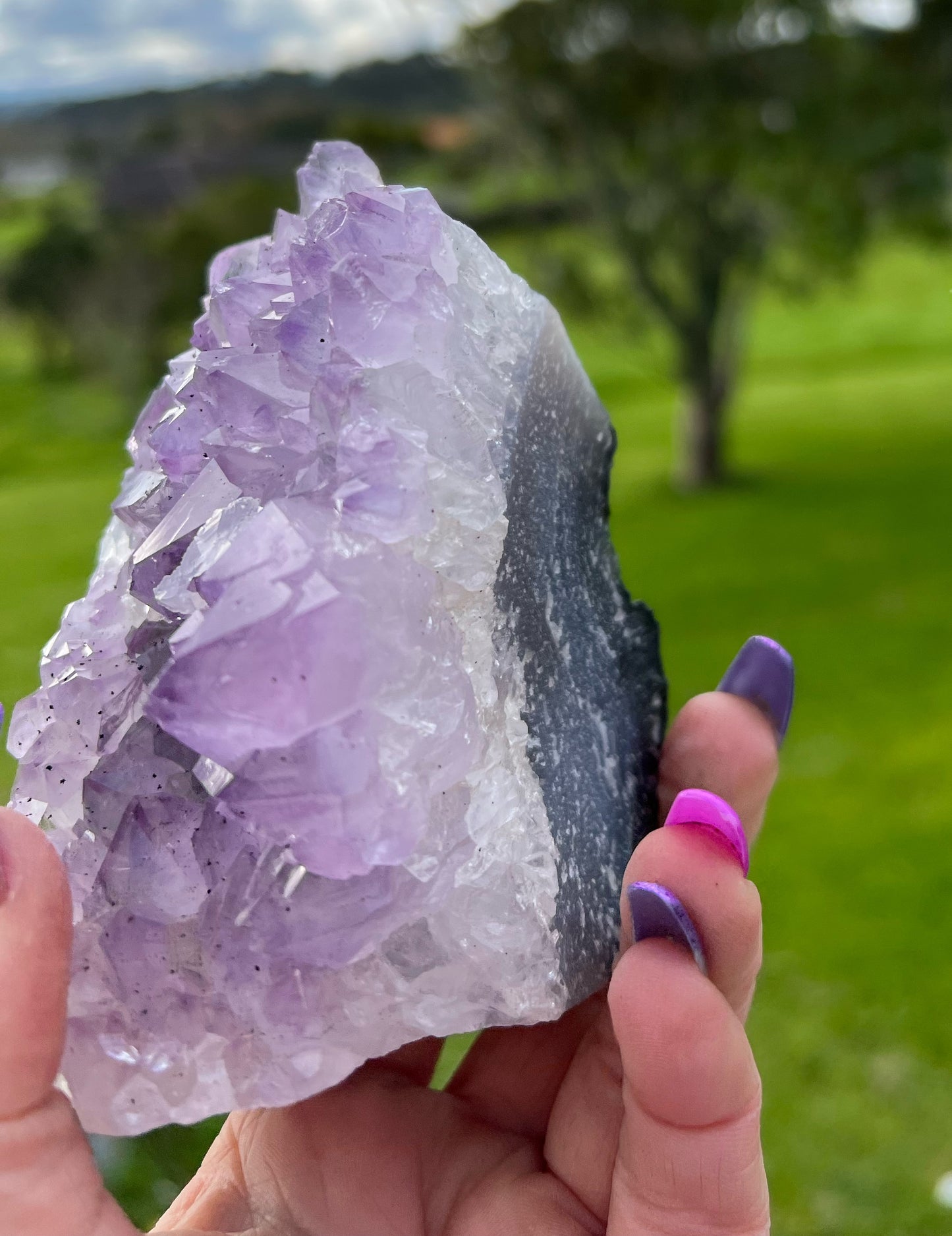 Large Amethyst Cluster 733g