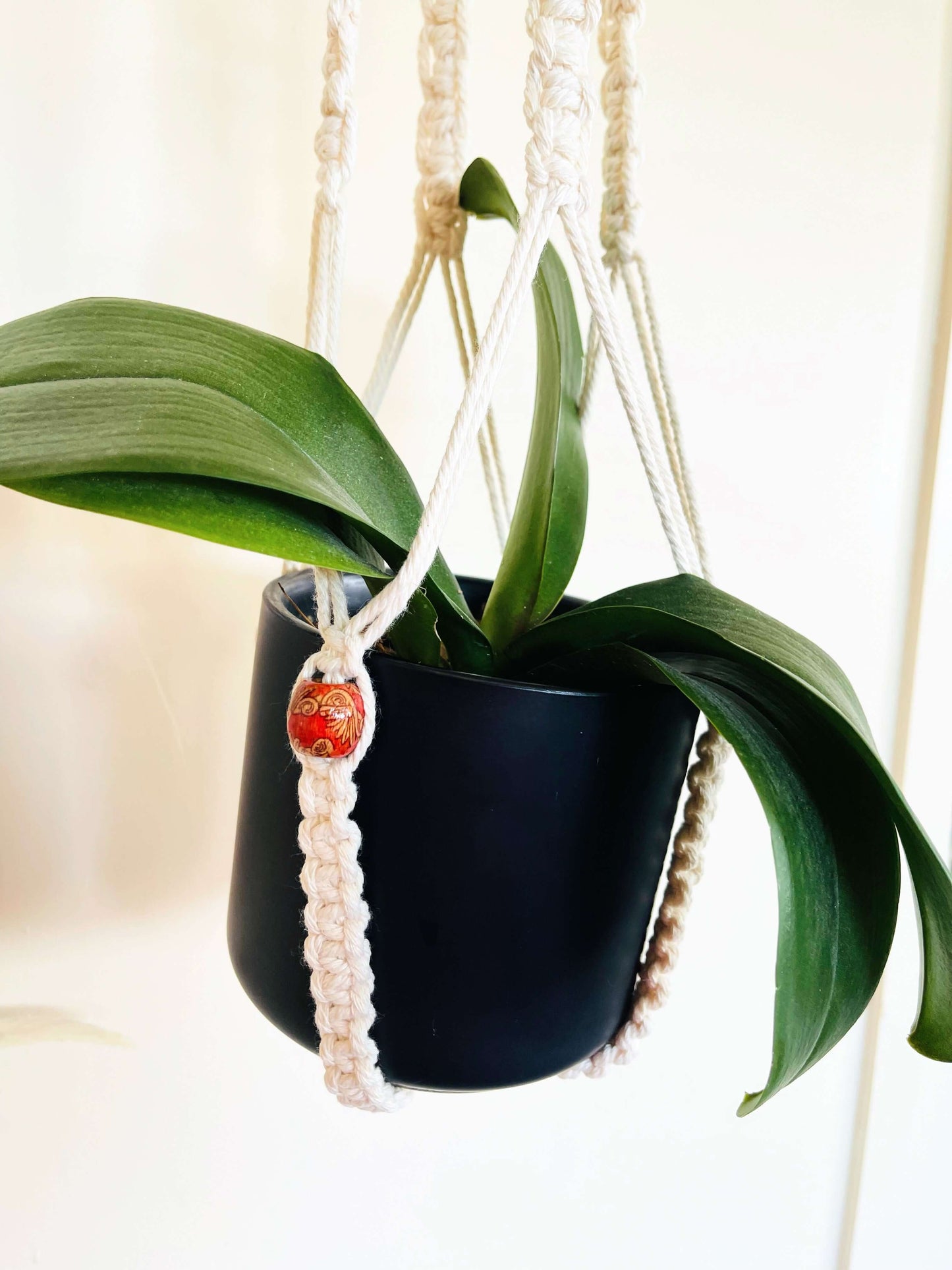 Painted Wood Bead Macrame Hanger.