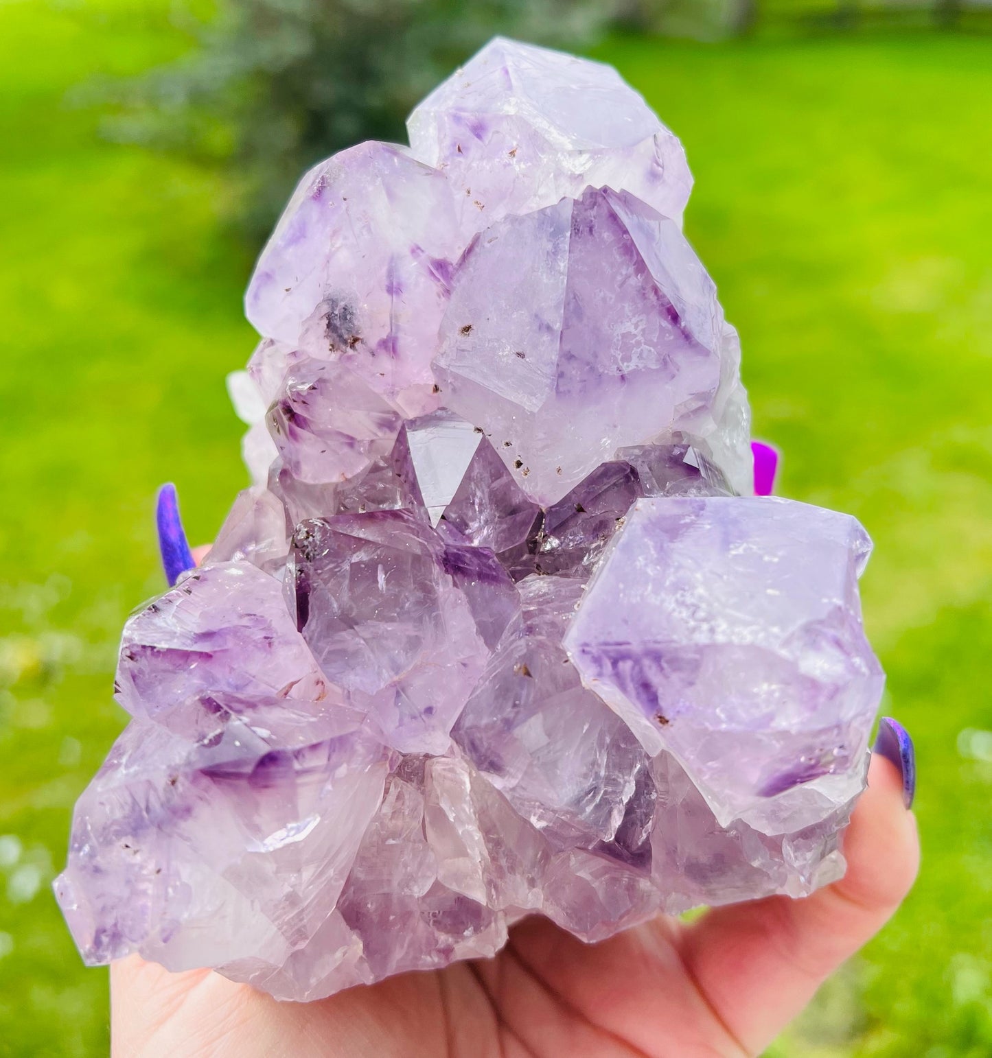 Large Amethyst Cluster 1074g