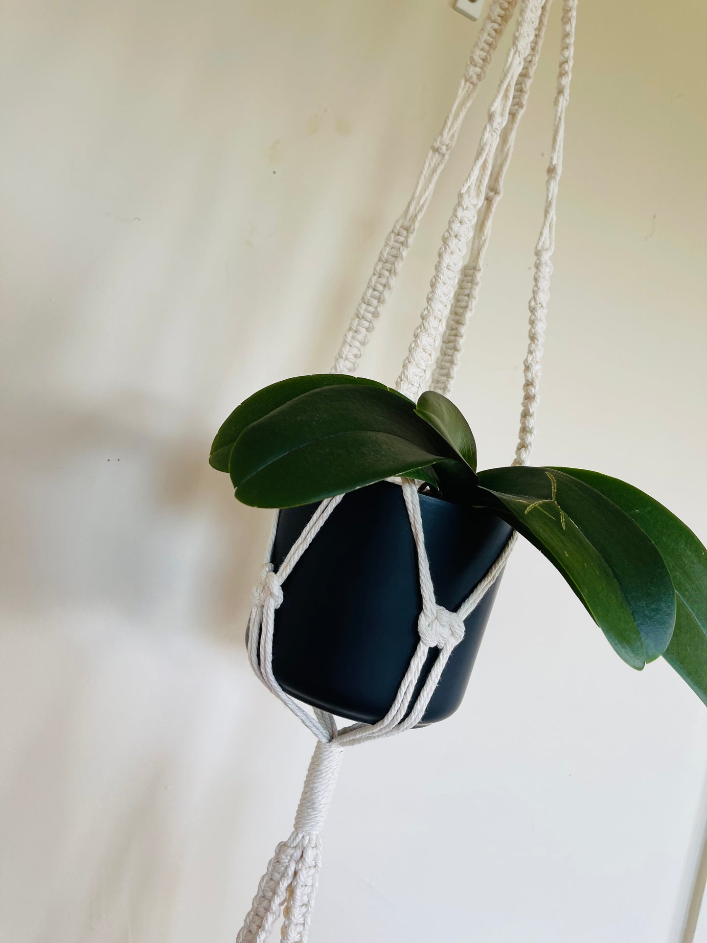 Long Two-Pot Macrame Plant Hanger.