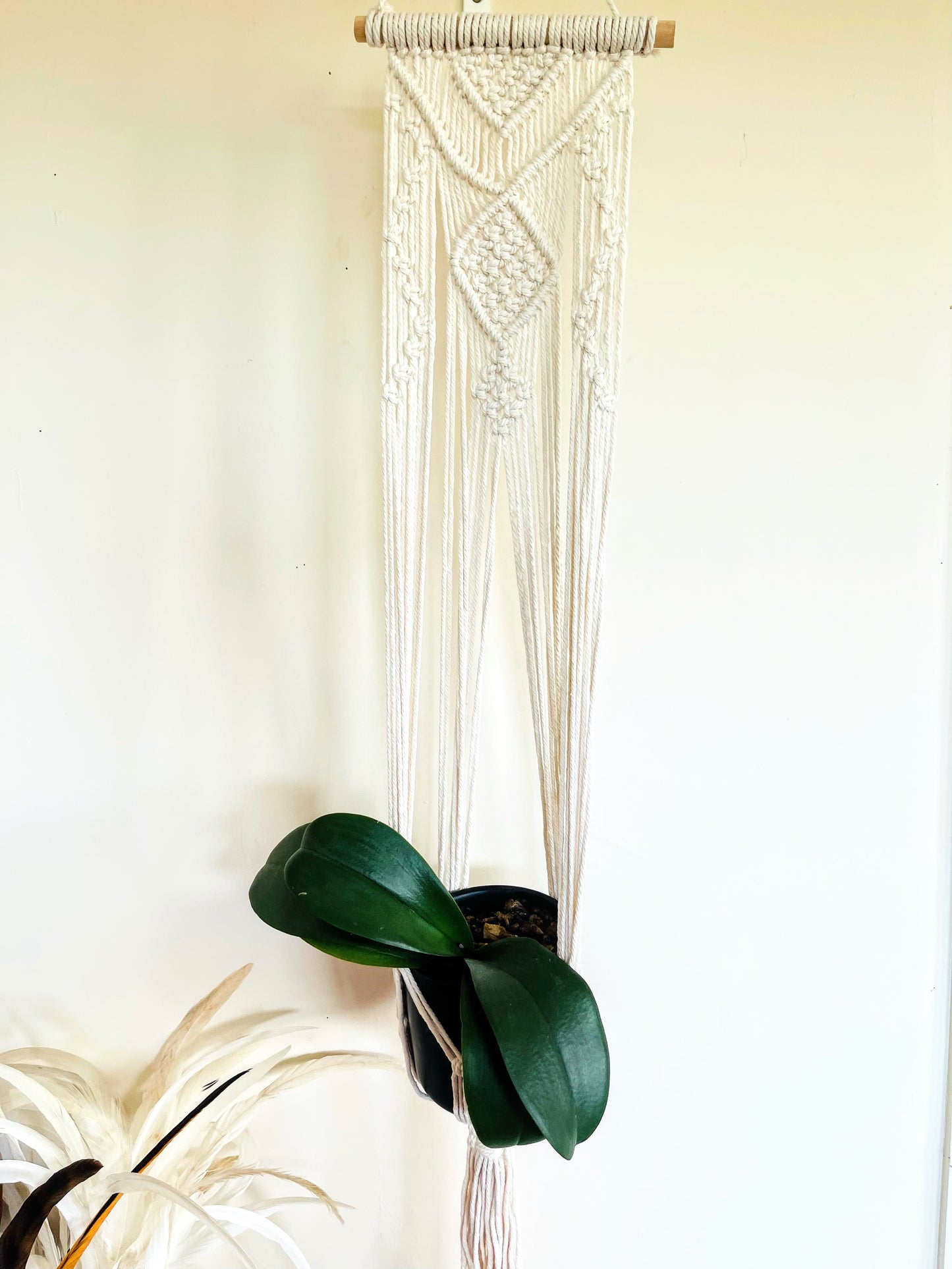 Macrame Plant / Wall Hanger.