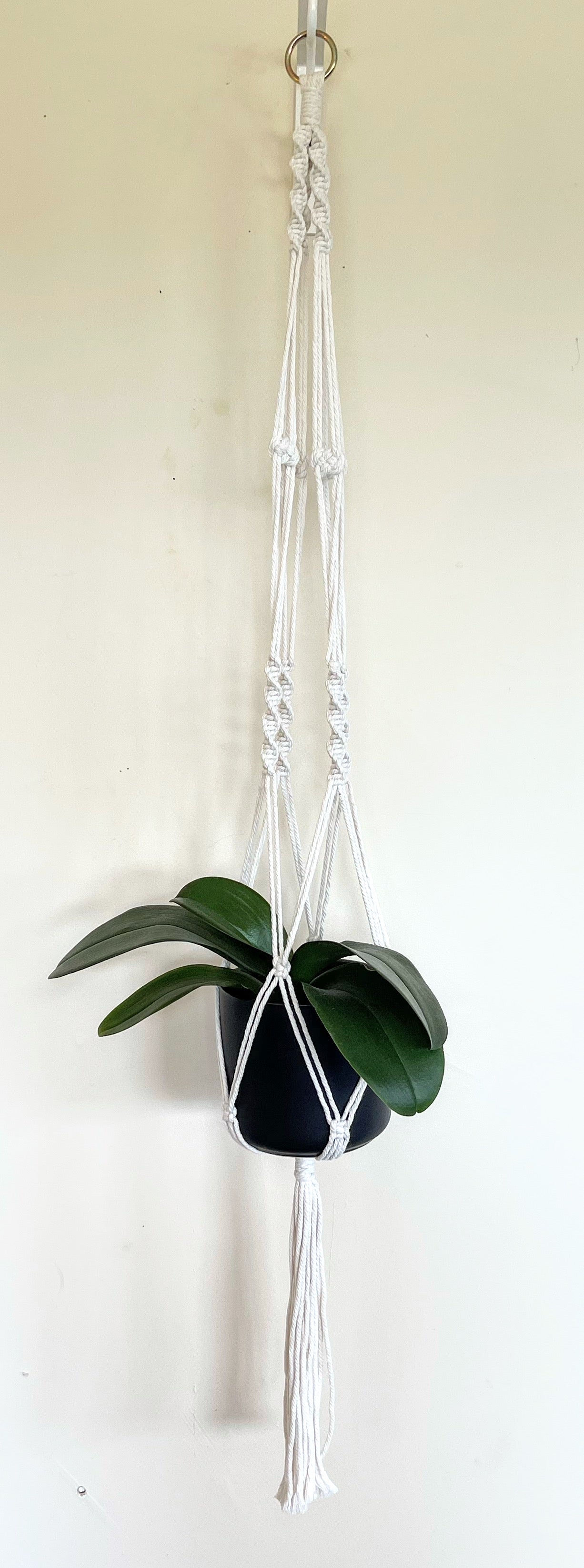 Macrame Plant Hanger 6