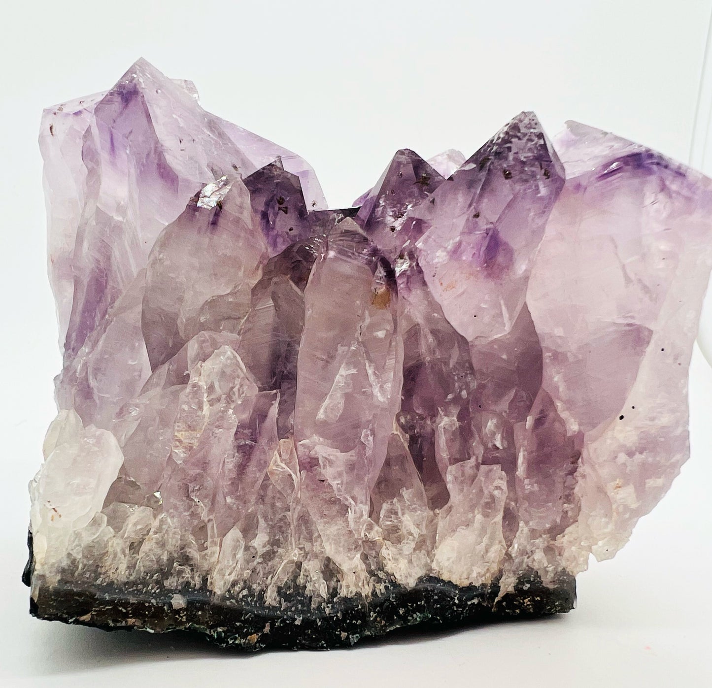 Large Amethyst cluster on white background 