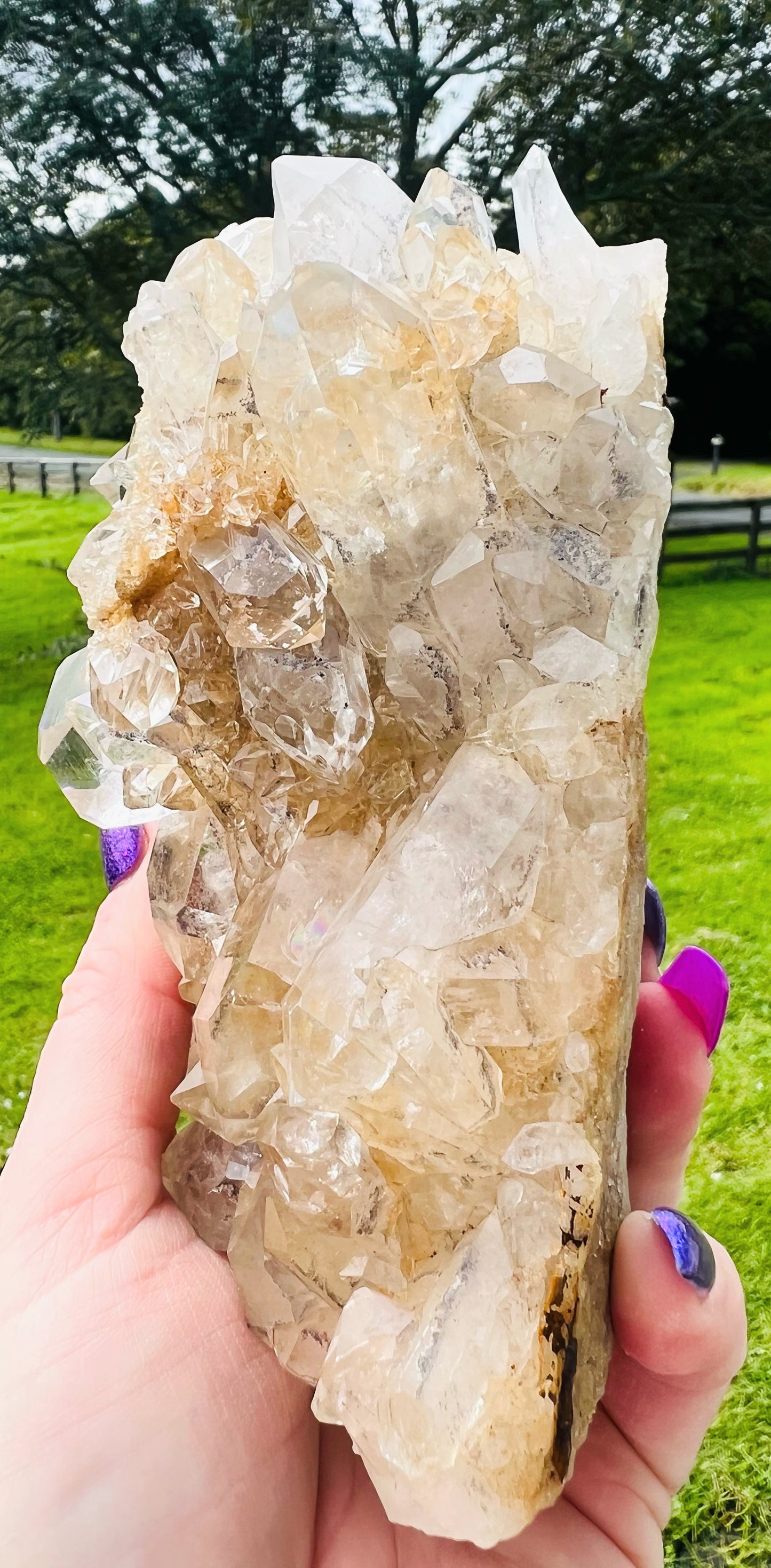 Large Clear Quartz Cluster 970g