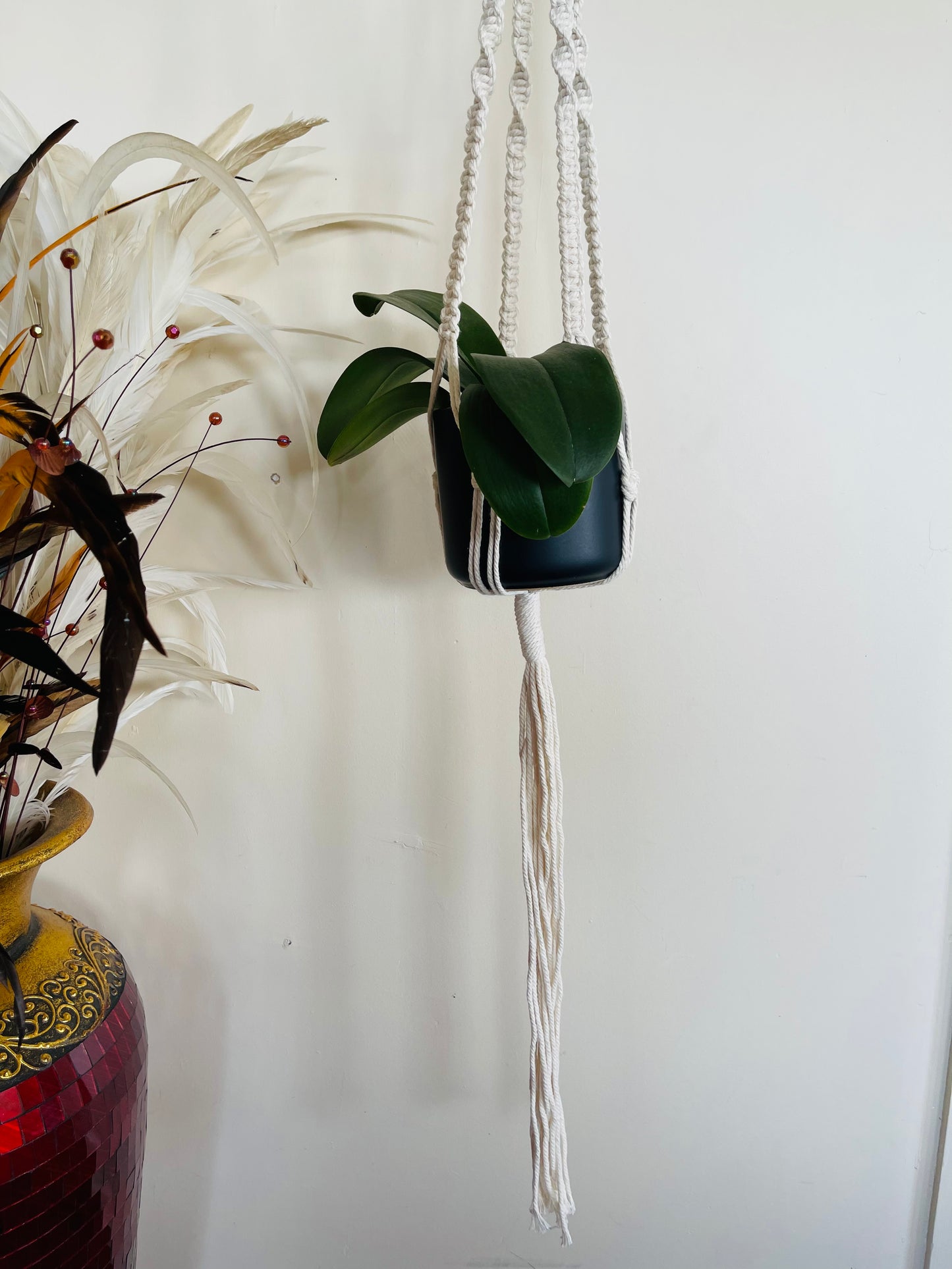 Long Two-Pot Macrame Plant Hanger.