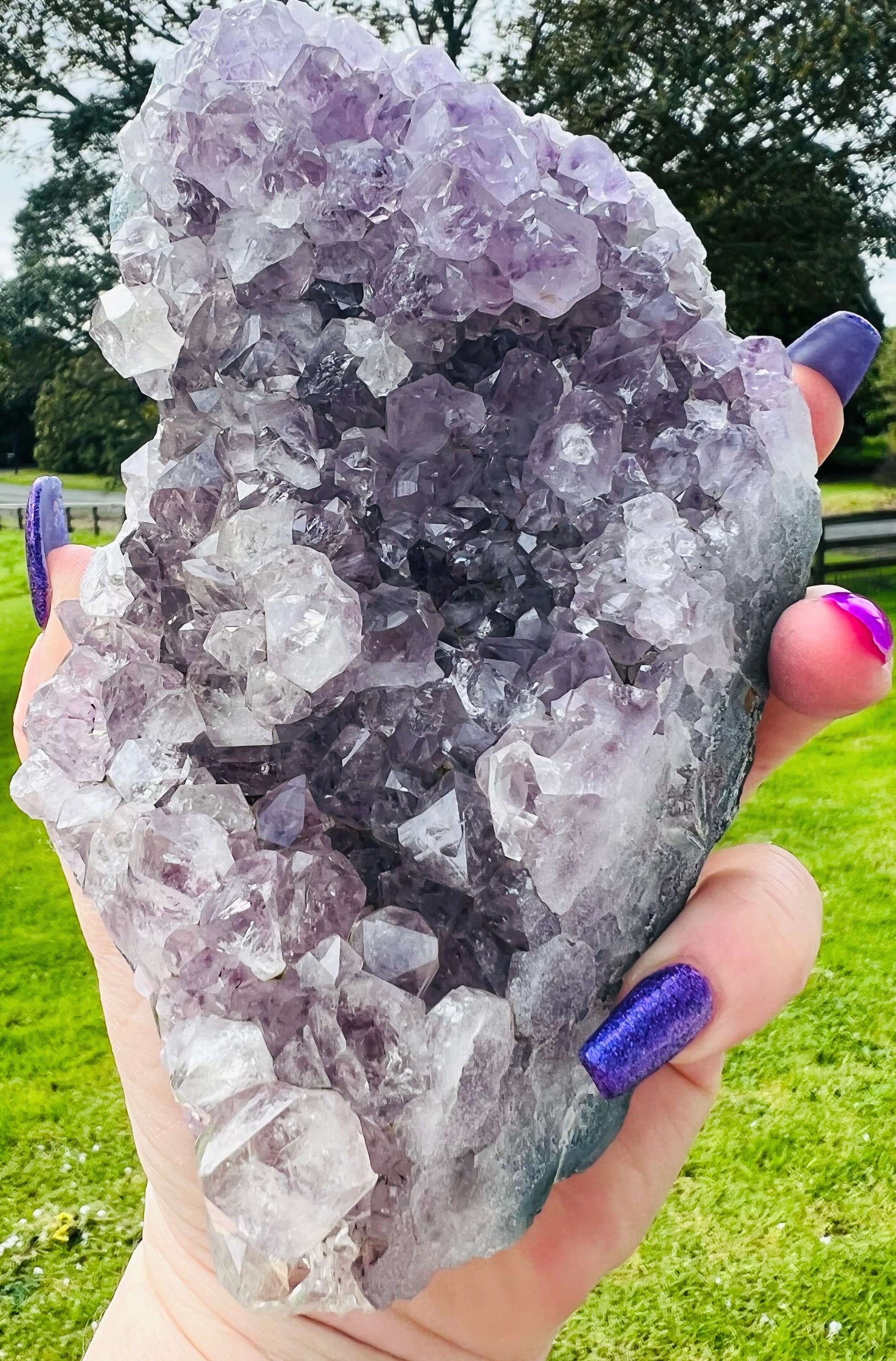 Amethyst cluster