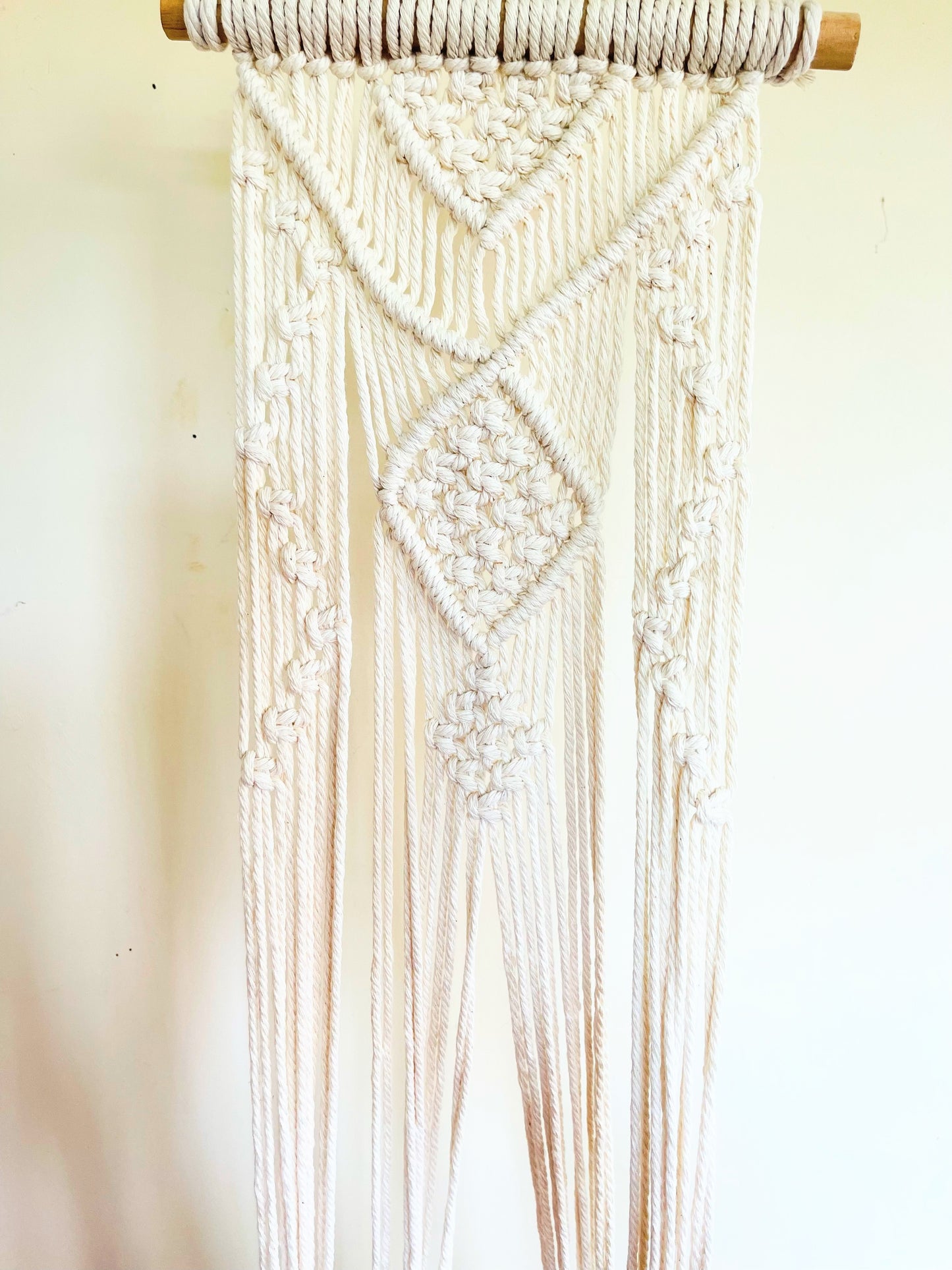 Macrame Plant / Wall Hanger.