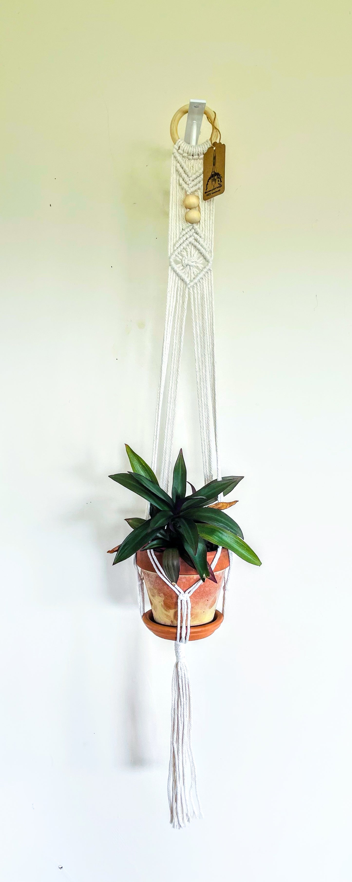 Macrame Plant Hanger  3B