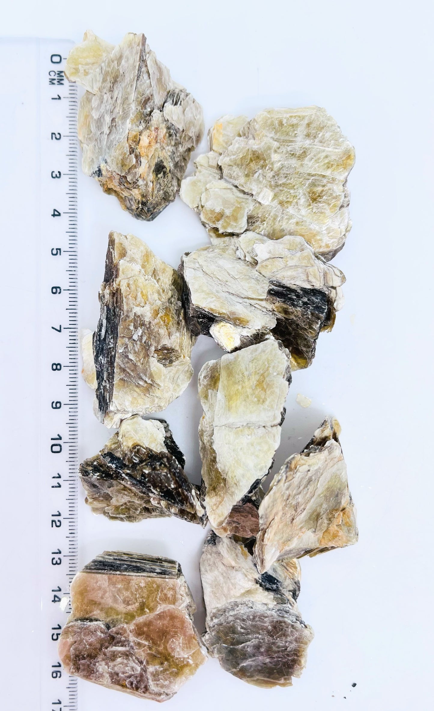 Muscovite Rough