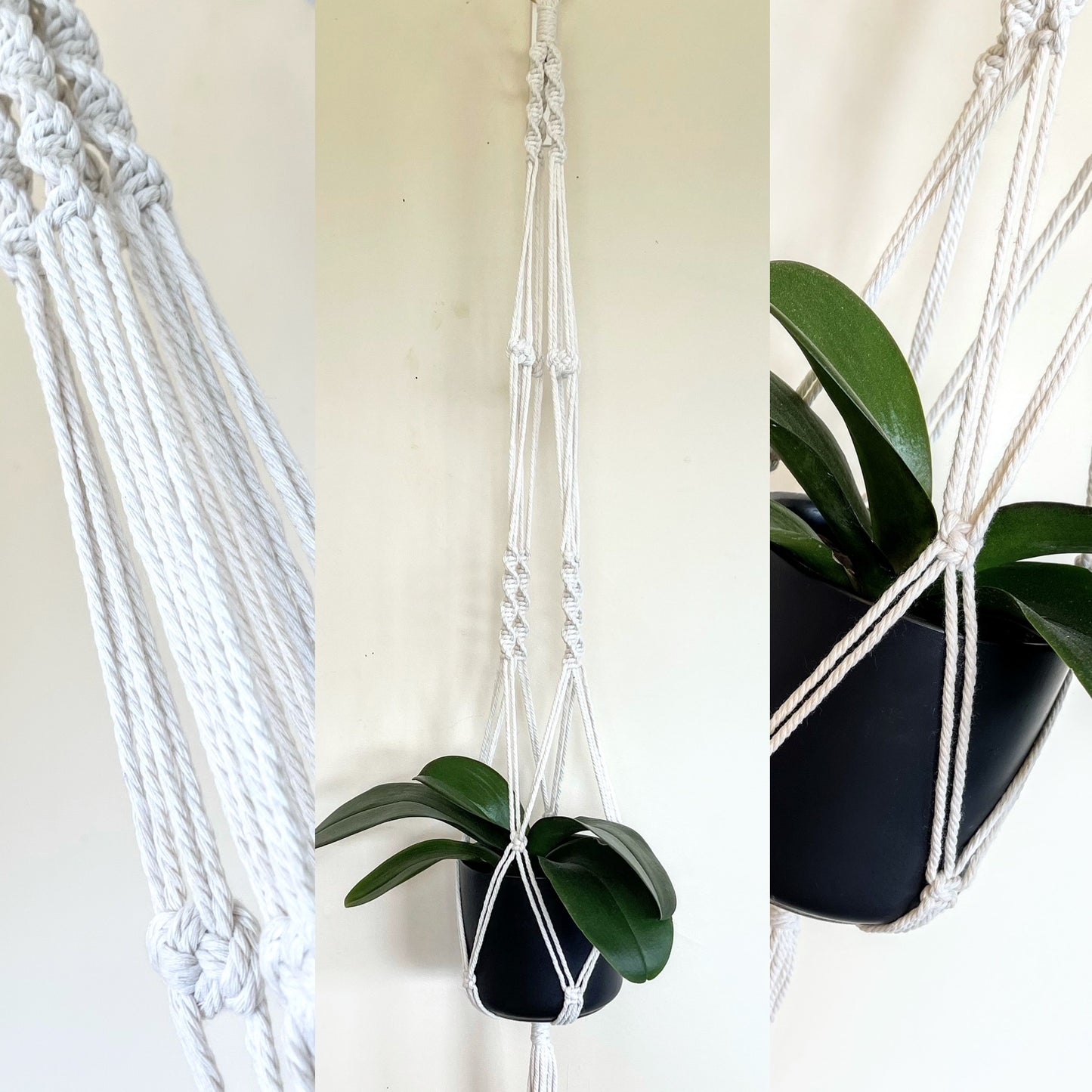 Macrame Plant Hanger 6