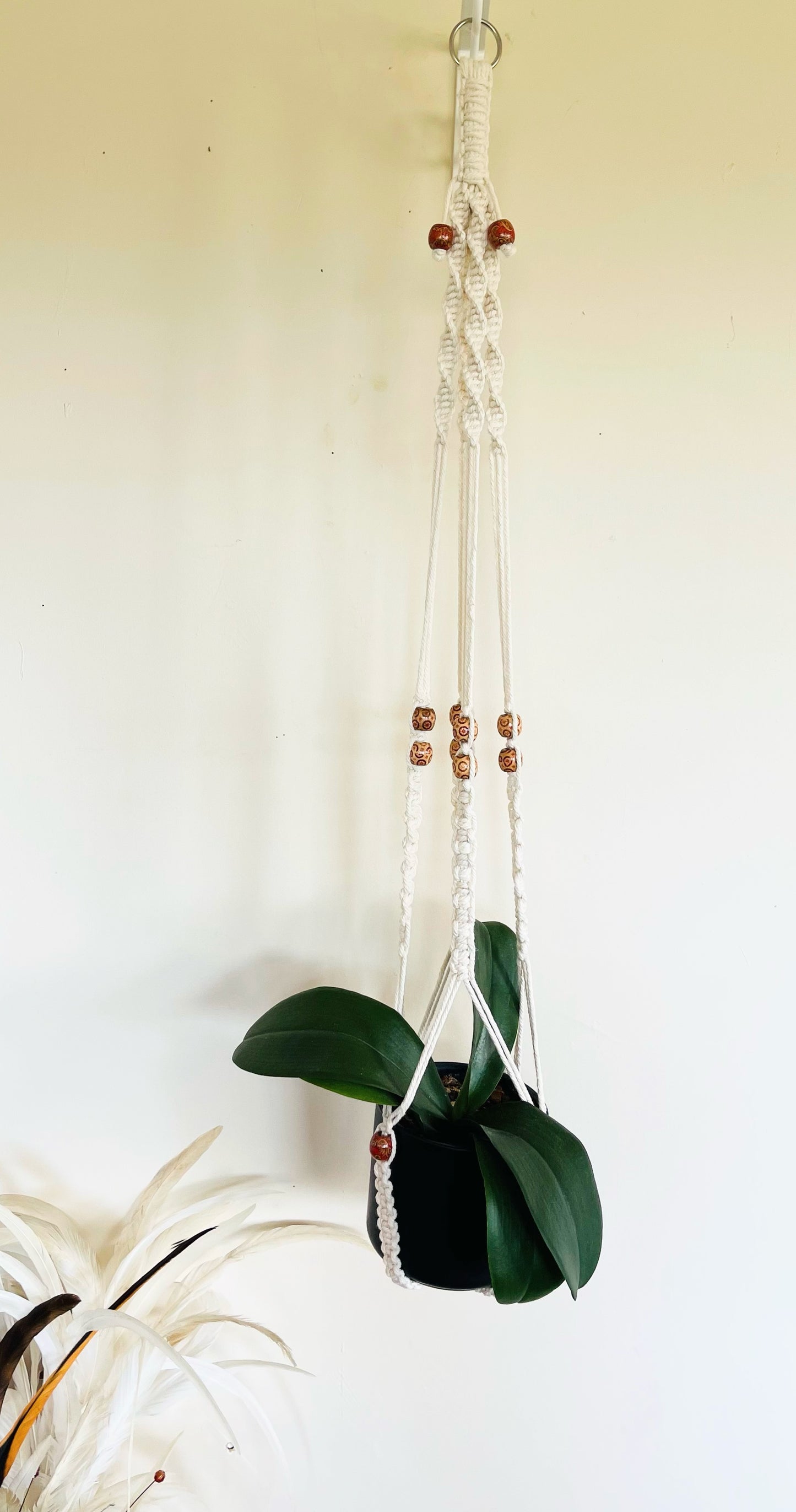 Painted Wood Bead Macrame Hanger.