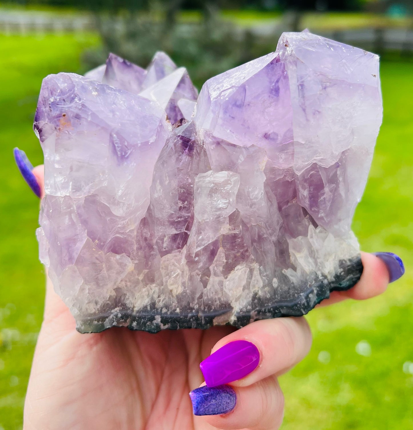 Large Amethyst Cluster 1074g