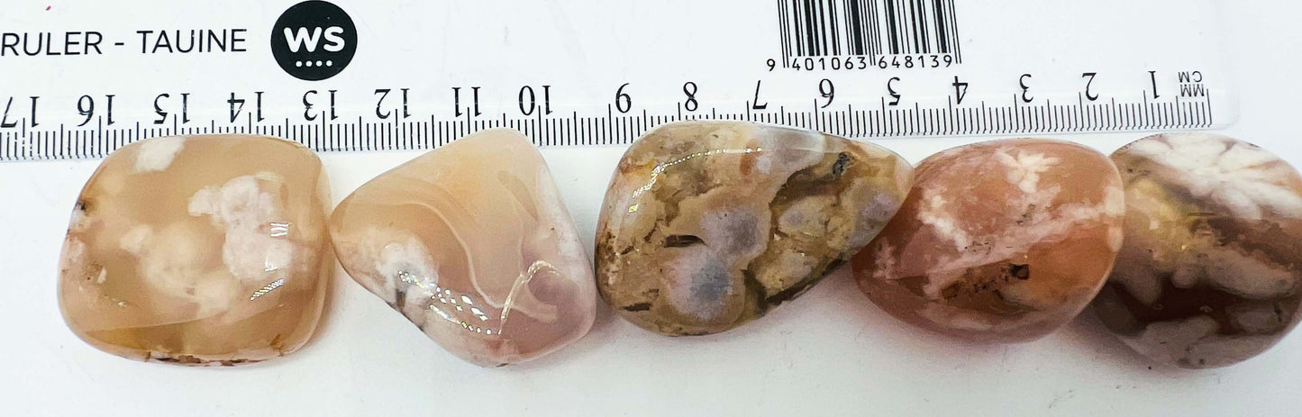 Flower Agate Tumble