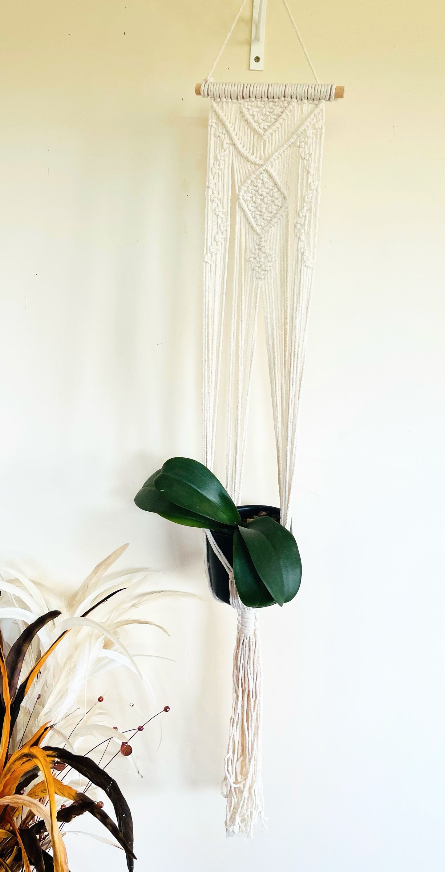 Macrame Plant / Wall Hanger.