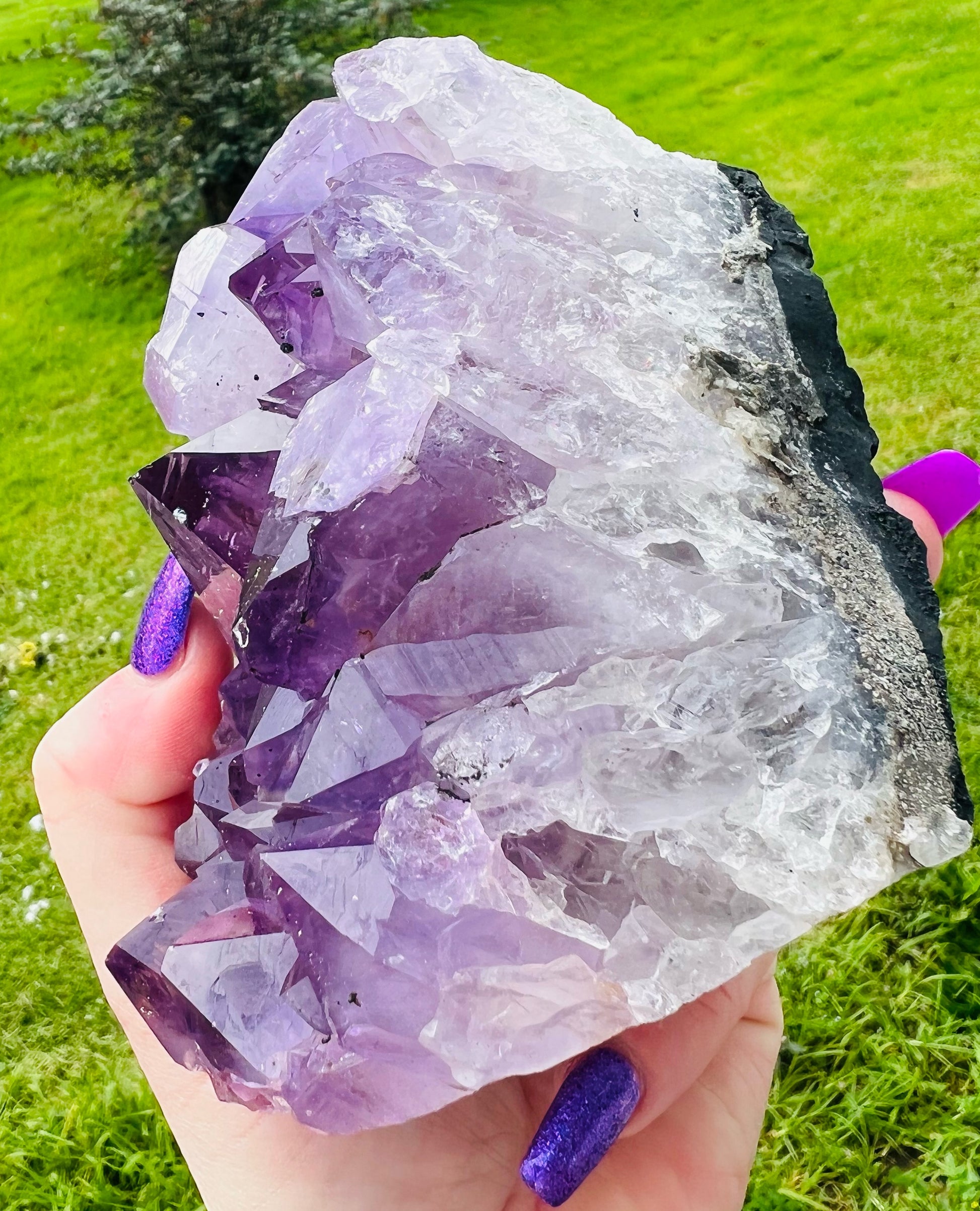 Amethyst cluster