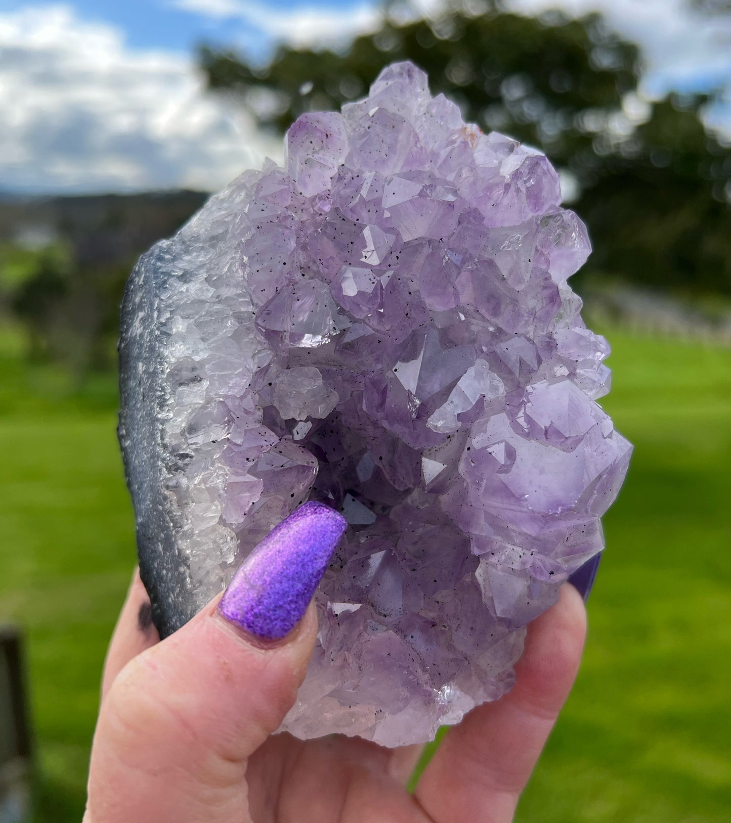 Large Amethyst Cluster 733g