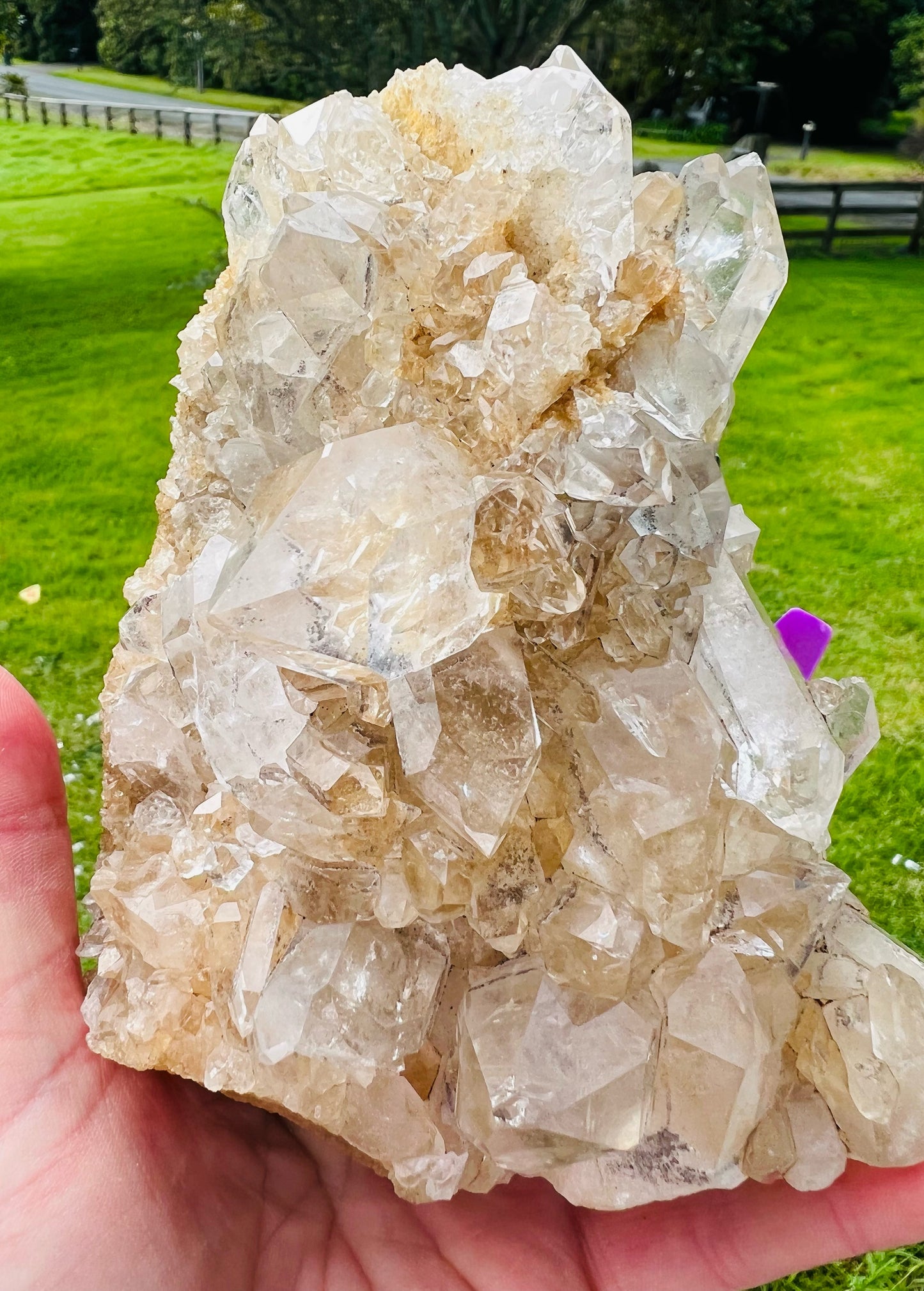 Large Clear Quartz Cluster 970g