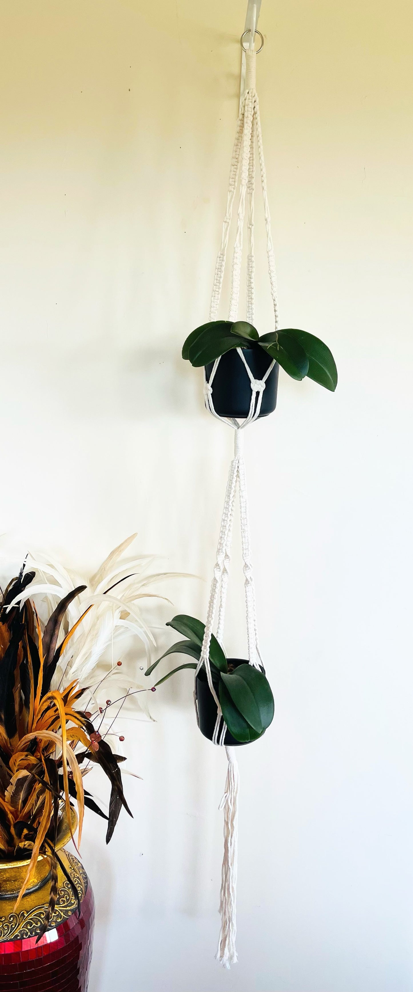 Long Two-Pot Macrame Plant Hanger.