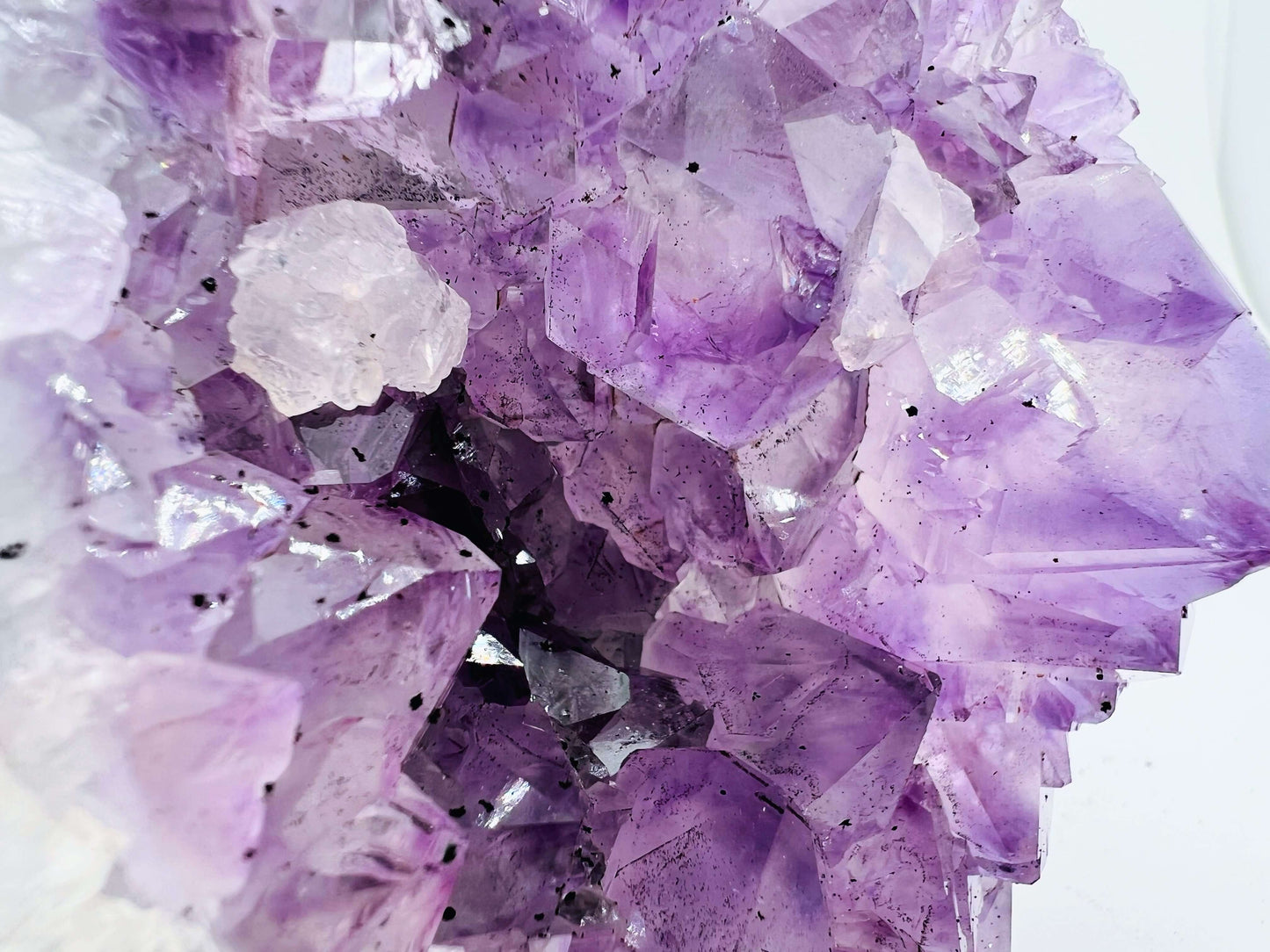 Large Amethyst Cluster 733g