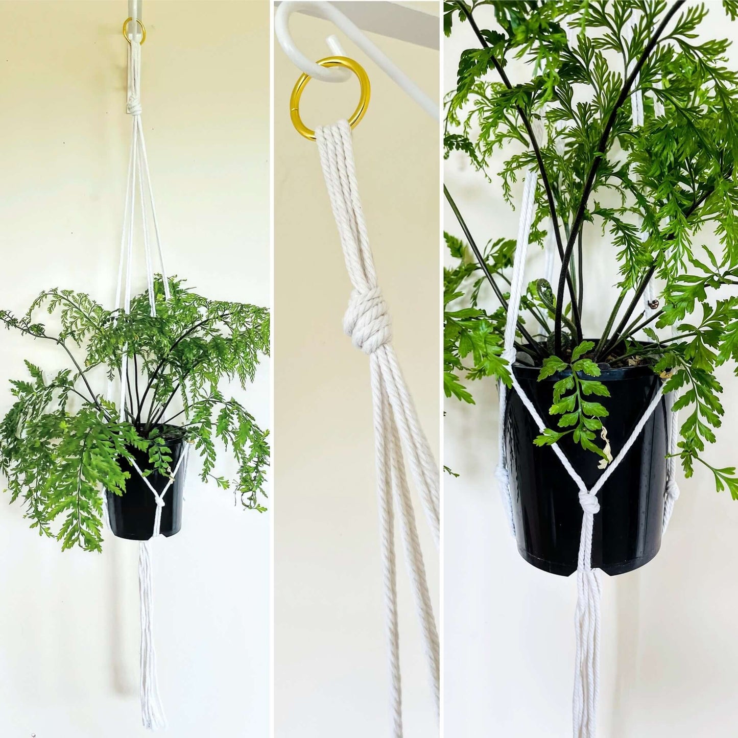 Macrame Plant Hanger 5