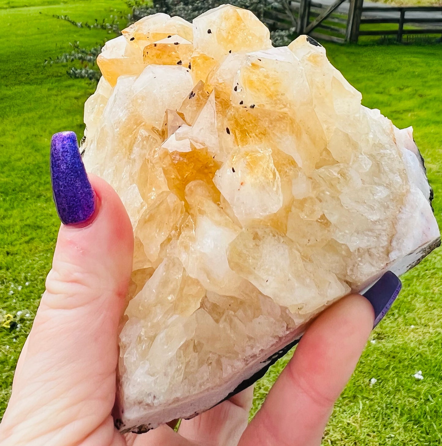 Large Citrine Cluster 947g