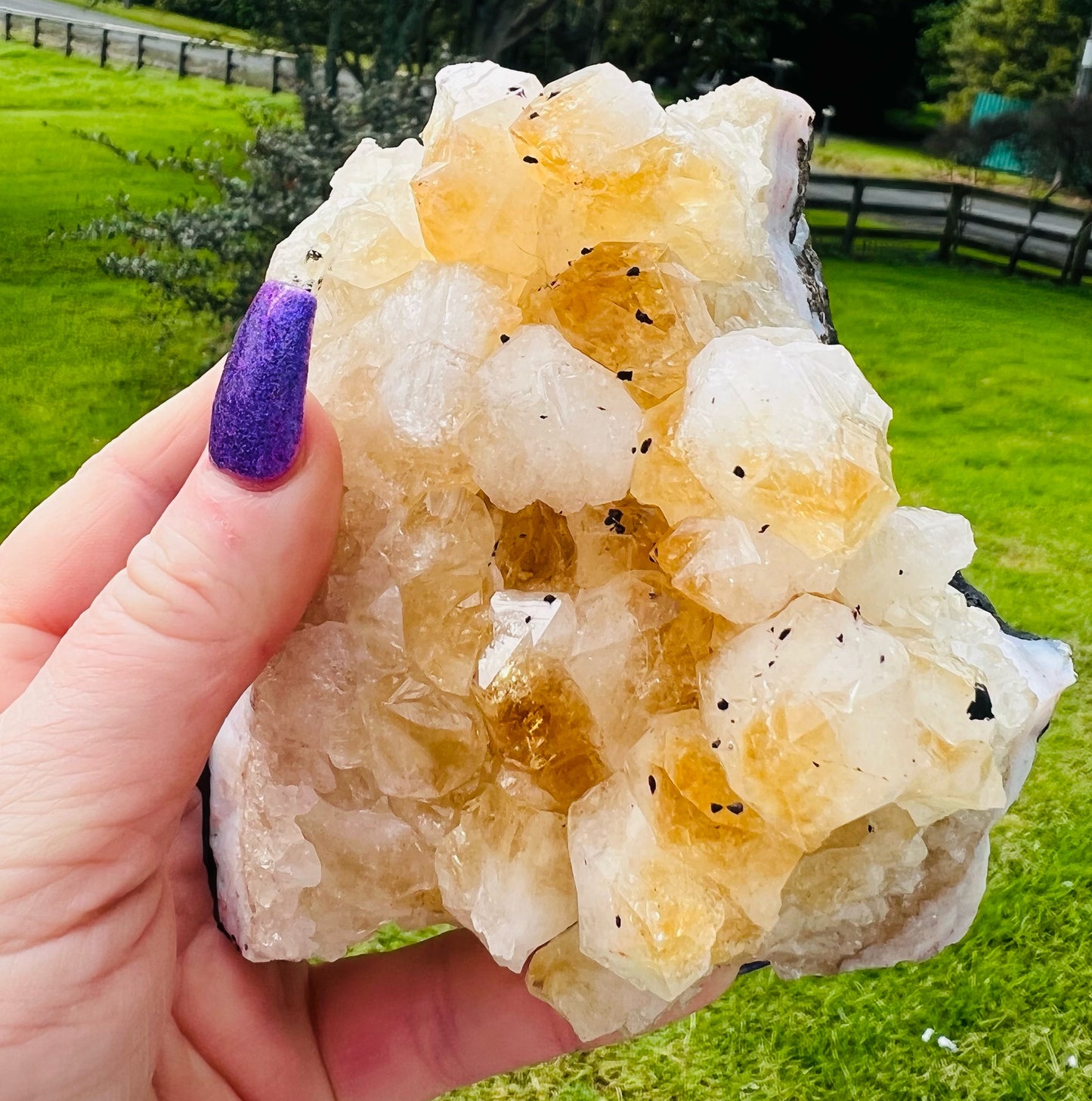 Large Citrine Cluster 947g